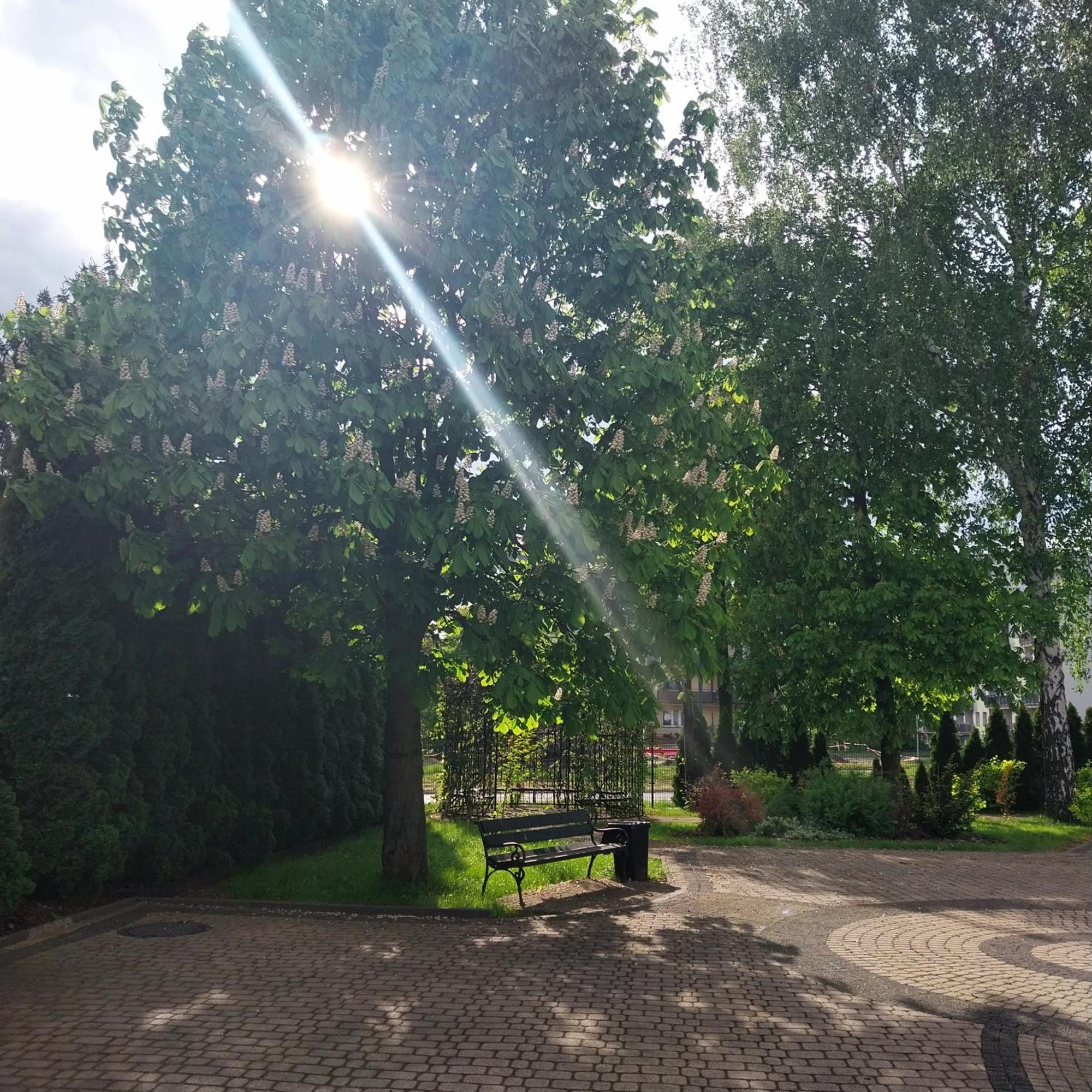 Pensjonat Sielec Сосновец Экстерьер фото